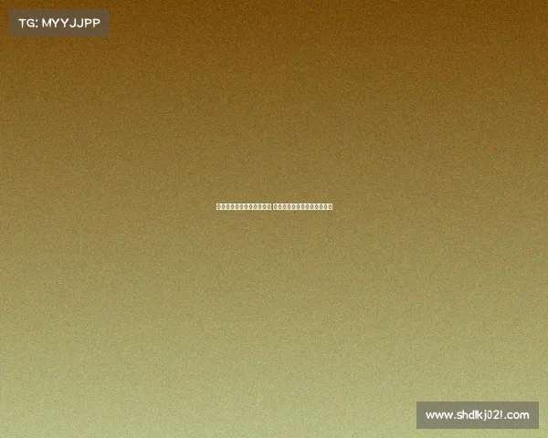 维尔纳随队赴法参加热身赛 多名潜在离队球员随行引关注