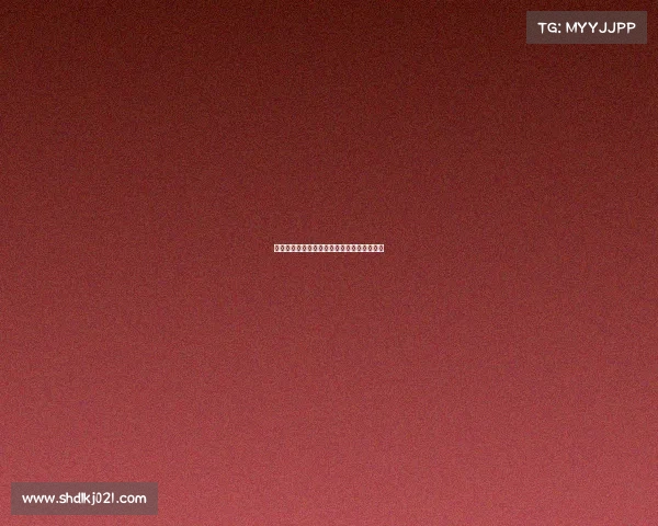 德甲新星中锋崛起助力球队冲击冠军战绩解析