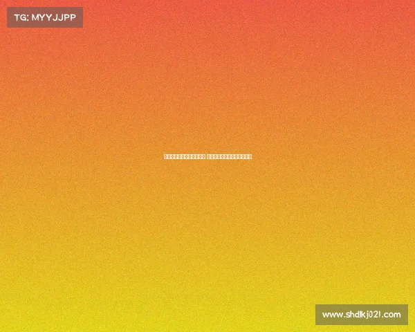 维尔纳随队赴法参加热身赛 多名潜在离队球员随行引关注